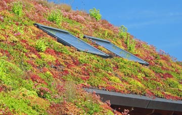 Roseworthy Barton living roof systems